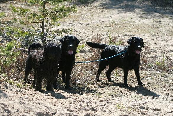 3.5.2010 Neela, Pertti and Martti