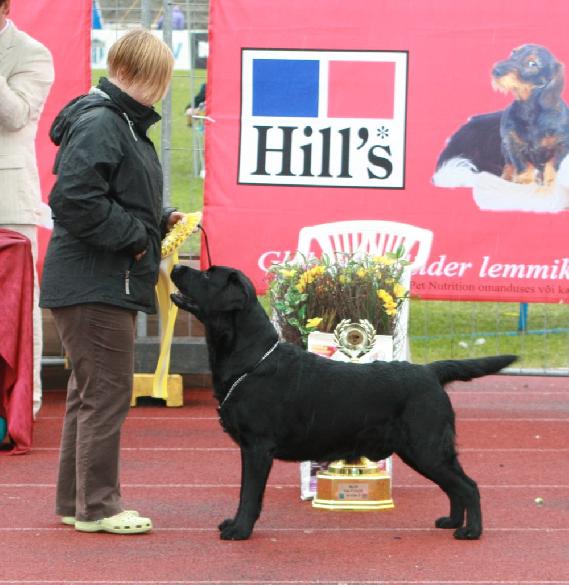 BIS-3 in Estonian Winner 2010 -show