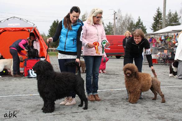 9.5.2013 Toijala group show: BOB and BIG-2