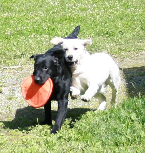 22.6.2008 Martti and Micky