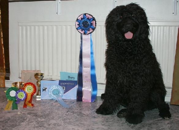 New FIJW-08 and LV JCH