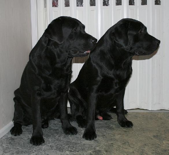8.3.2009 Martti and Pertti