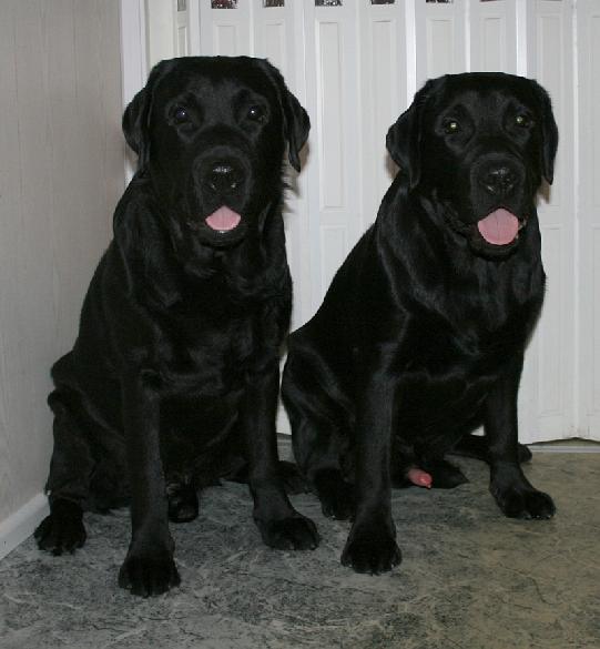 8.3.2009 Martti and Pertti