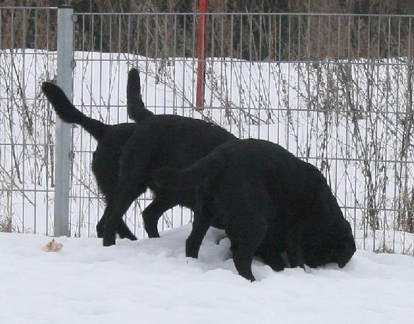 17.3.2009 Sputnik, Pertti and Martti