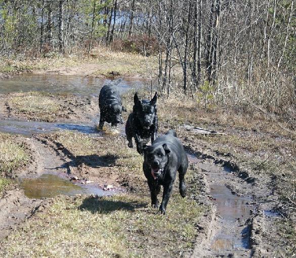 2.5.2009 Martti, Pertti and Milly