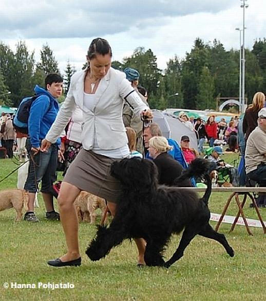 16.8.2009 Joensuu INT, Rico with his handler Riikka Aholammi (Clearing Pond's Goldens)