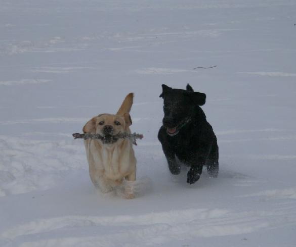 21.1.2010 Terho and Pertti