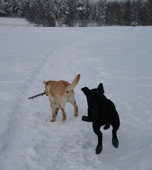 21.1.2010 Terho and Pertti