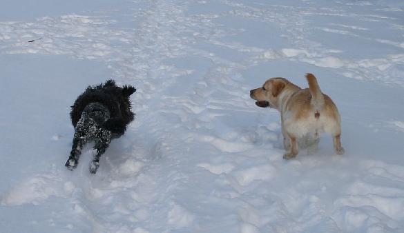 3.2.2010 Neela and Terho