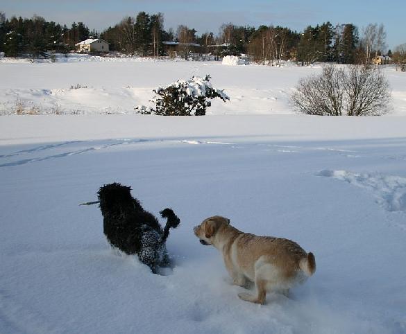 3.2.2010 Neela and Terho