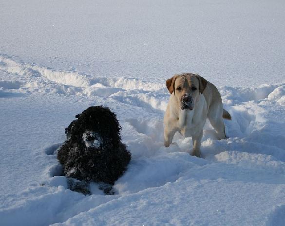 3.2.2010 Neela and Terho
