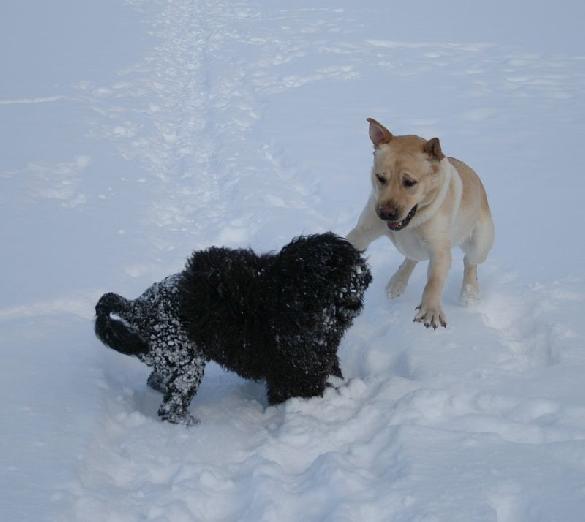 3.2.2010 Neela and Terho