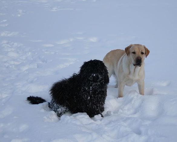 3.2.2010 Neela and Terho