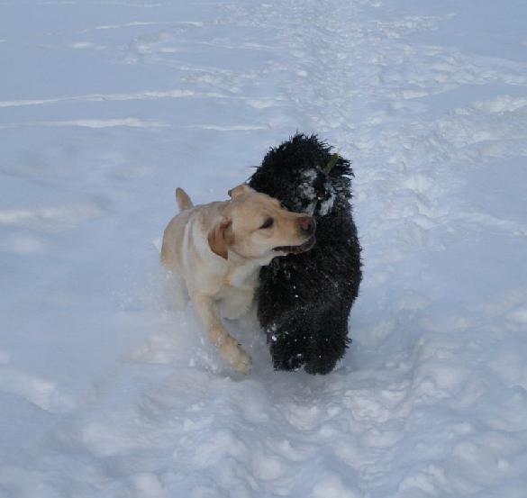 3.2.2010 Terho and Neela