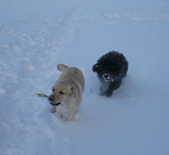 3.2.2010 Terho and Neela