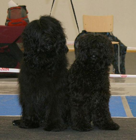 6.2.2010 Rico and Neela