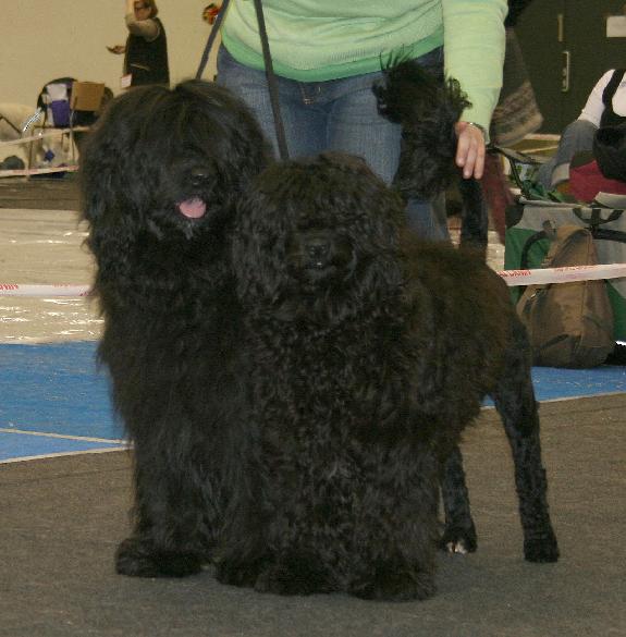 6.2.2010 Rico and Neela