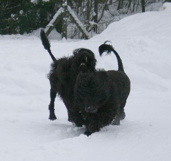 7.2.2010 Rico and Rio