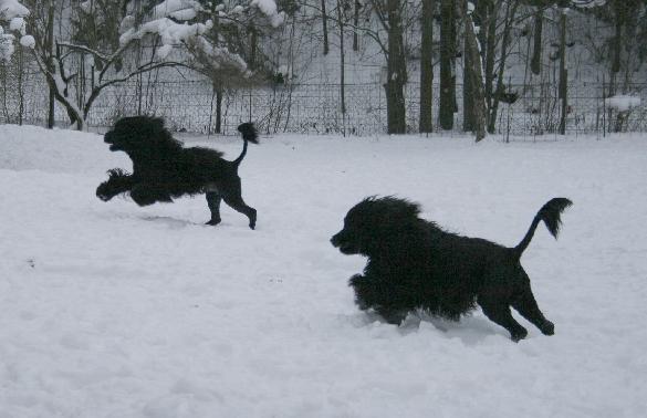 7.2.2010 Rico and Rio