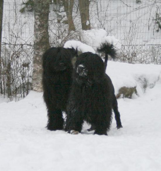 7.2.2010 Rico and Rio