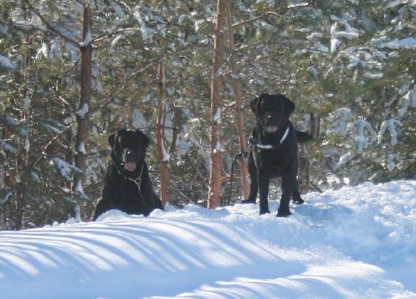 22.3.2010 Pertti and Martti