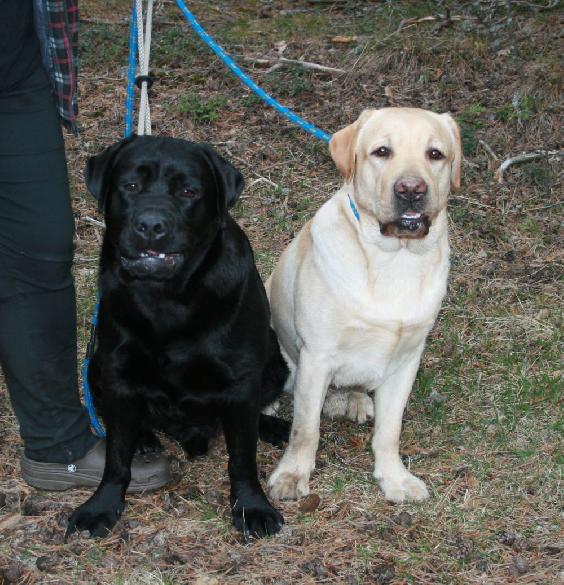 1.5.2010 Puntti and Terho